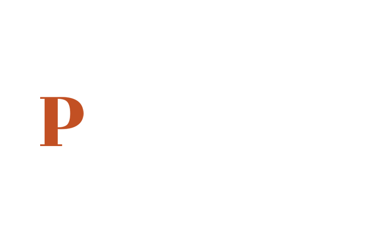 Party Plan